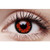 Volturi Crazy Lens Contacts - Single Use