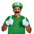 Luigi Adult Accessory Kit