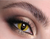 One Wear Wildcat Contact Lenses