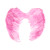 Pink Angel Wings (Large) 60X45cm