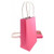 Party Bag Paper 215x130x80mm Fuchsia Pack 5
