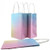 Party Bag Paper 215x130x80mm Pastel Rainbow Pack 5
