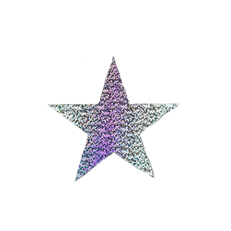 Silver Holographic Foil Star Cutouts 12pk-Mini