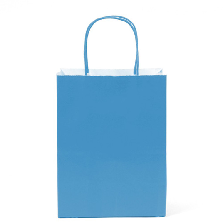 12 PK Paper Bag- Turquoise Medium