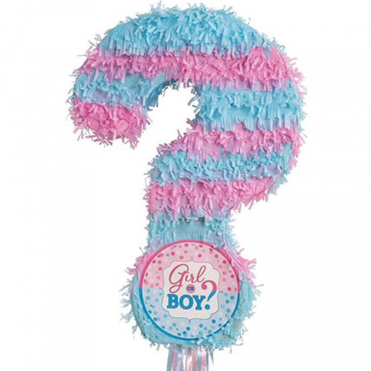 Gender Reveal Girl or Boy Pinata