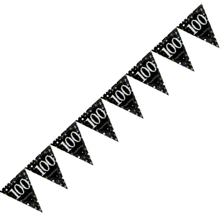 Sparkling Celebrations 100th Birthday Flag Banner