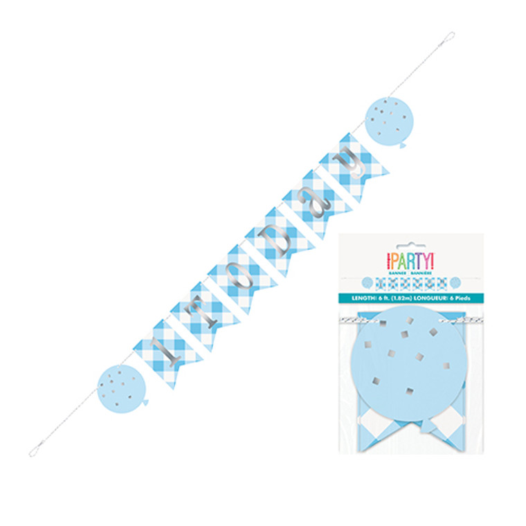 Blue Gingham 1st Birthday Pennant Banner