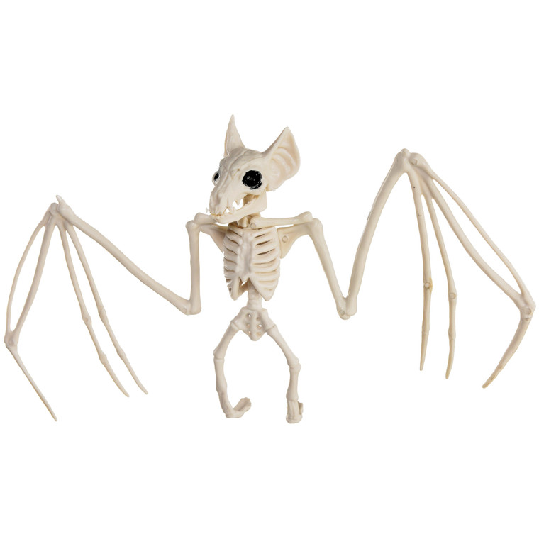 Bat Skeleton