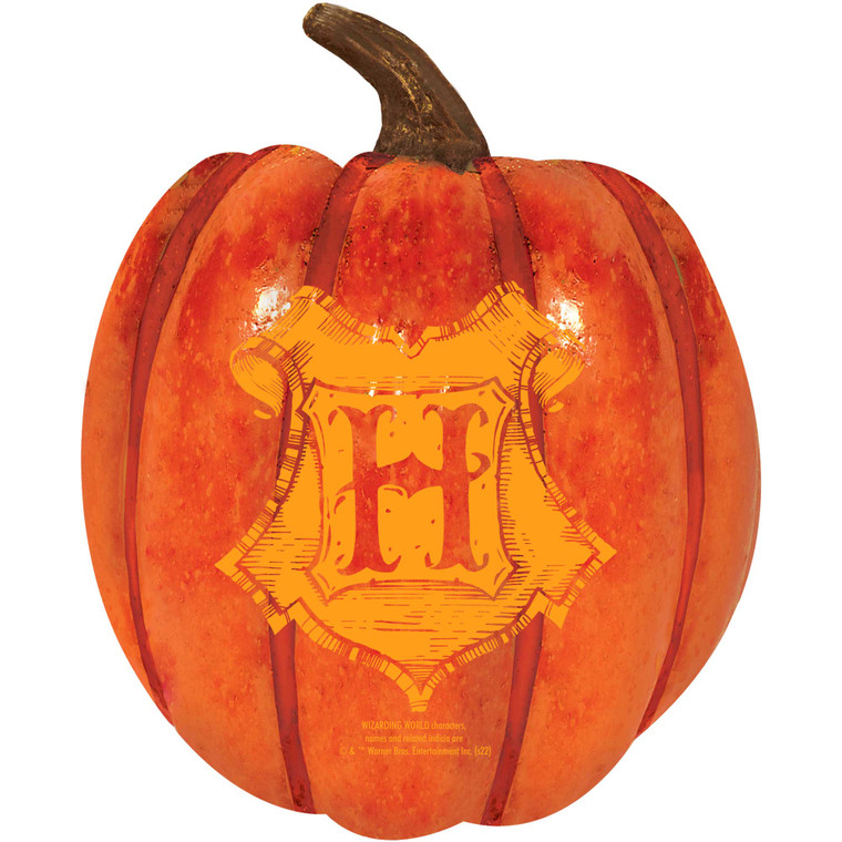 Harry Potter Halloween Foam Pumpkin