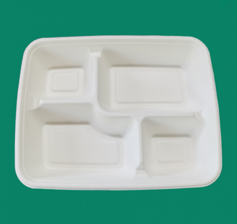 Sugarcane 4 Compartment Plates, 25 Pcs (280mm Width x 220mm Length x 37mm Height)
