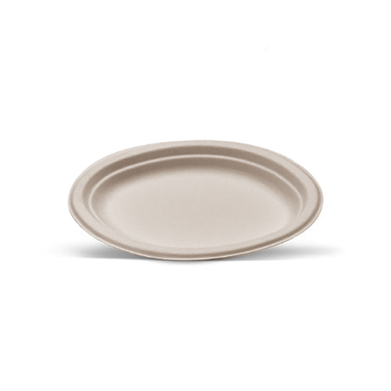 Unbleached Sugarcane Plate Small PK50