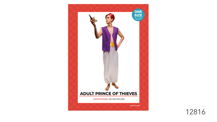 Adult Prince of Thieves Costume