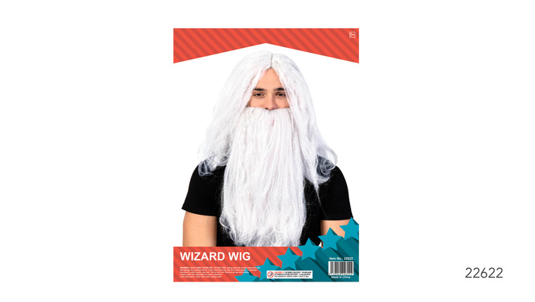 Harry The  Wizard Deluxe Wig and Beard (Frizzy)