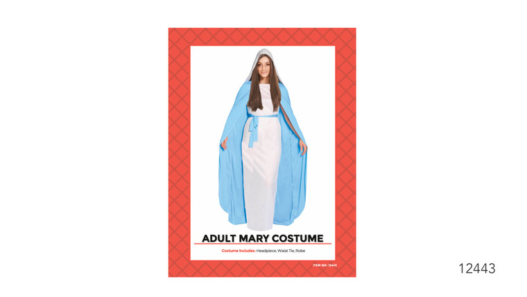 Mary Adult Costume