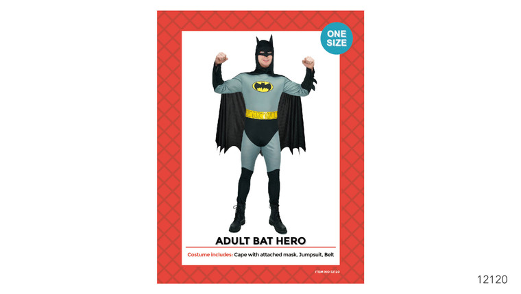 Bat Hero Adult Costume