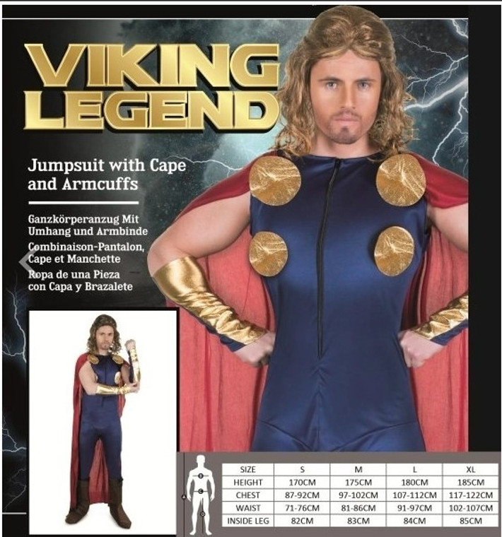 Viking Legend Mens Costume