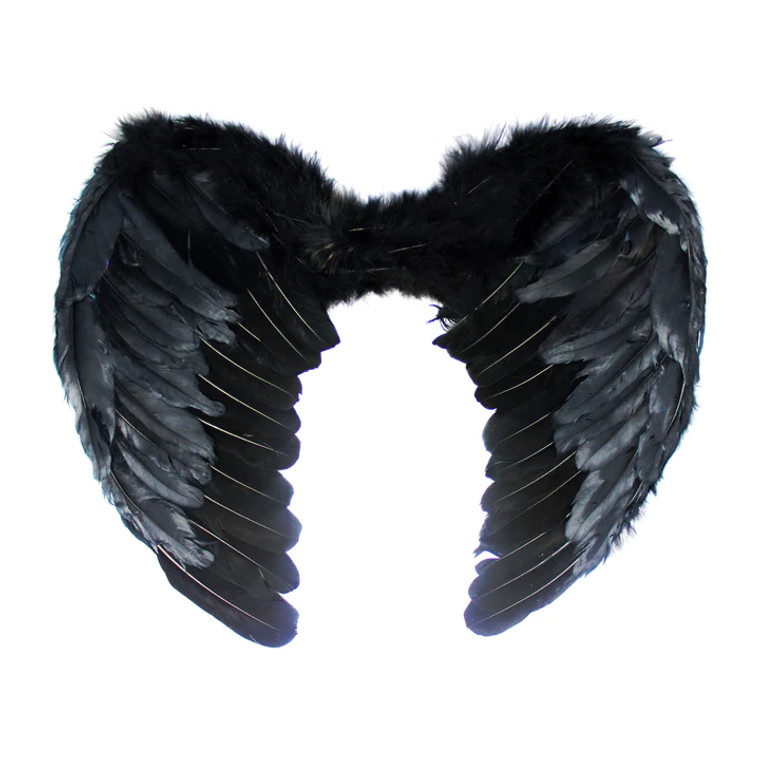 Black Angel Wings (Large) 60X45cm