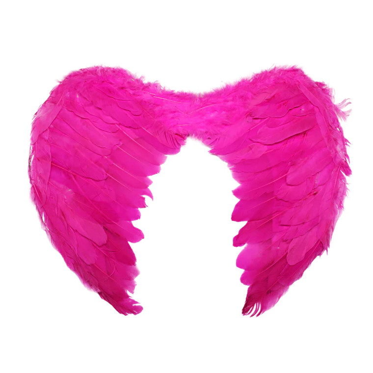 Hot Pink Angel Wings (Large) 60X45cm