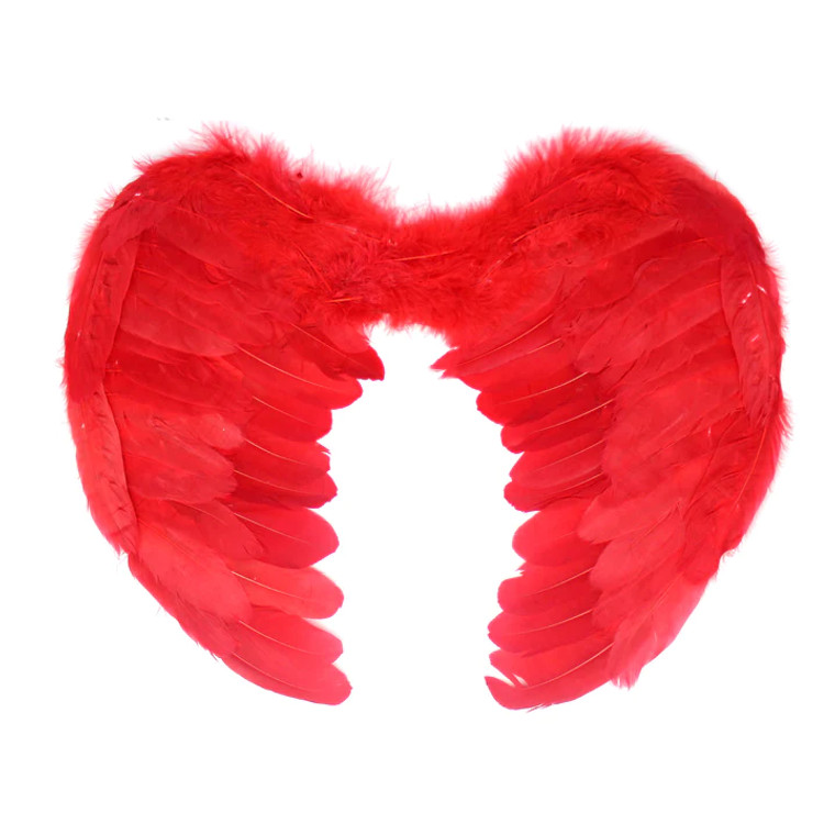 Red Angel Wings (Small) 45X30cm