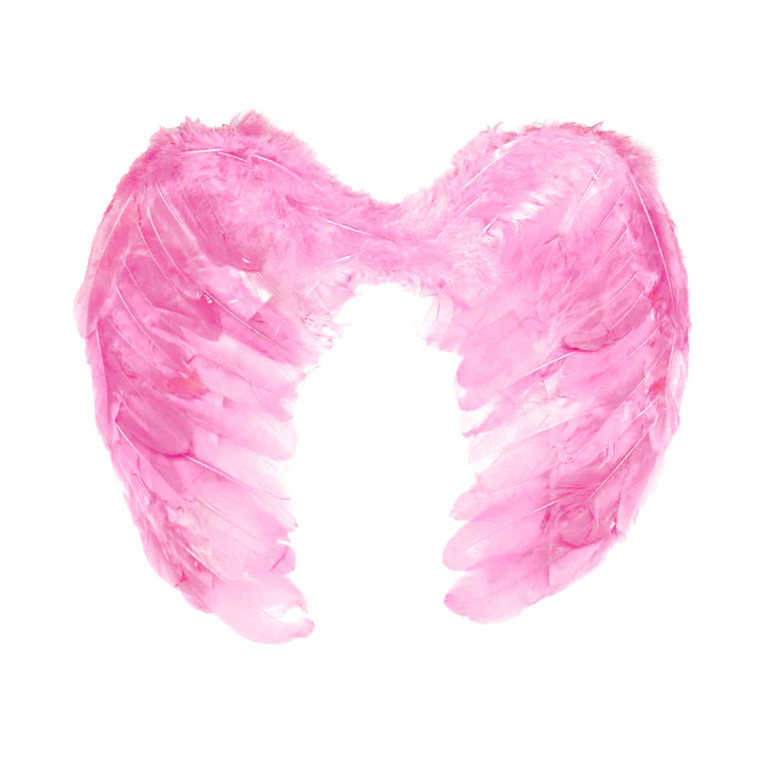 Pink Angel Wings (Small) 45X30cm