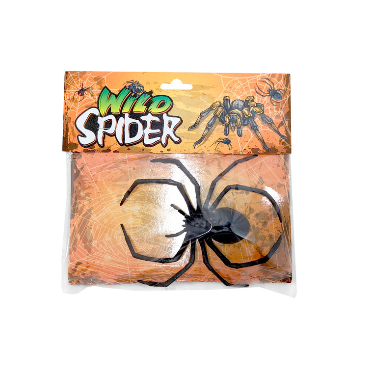 Spider On Colour Car, 16X11 Cm
