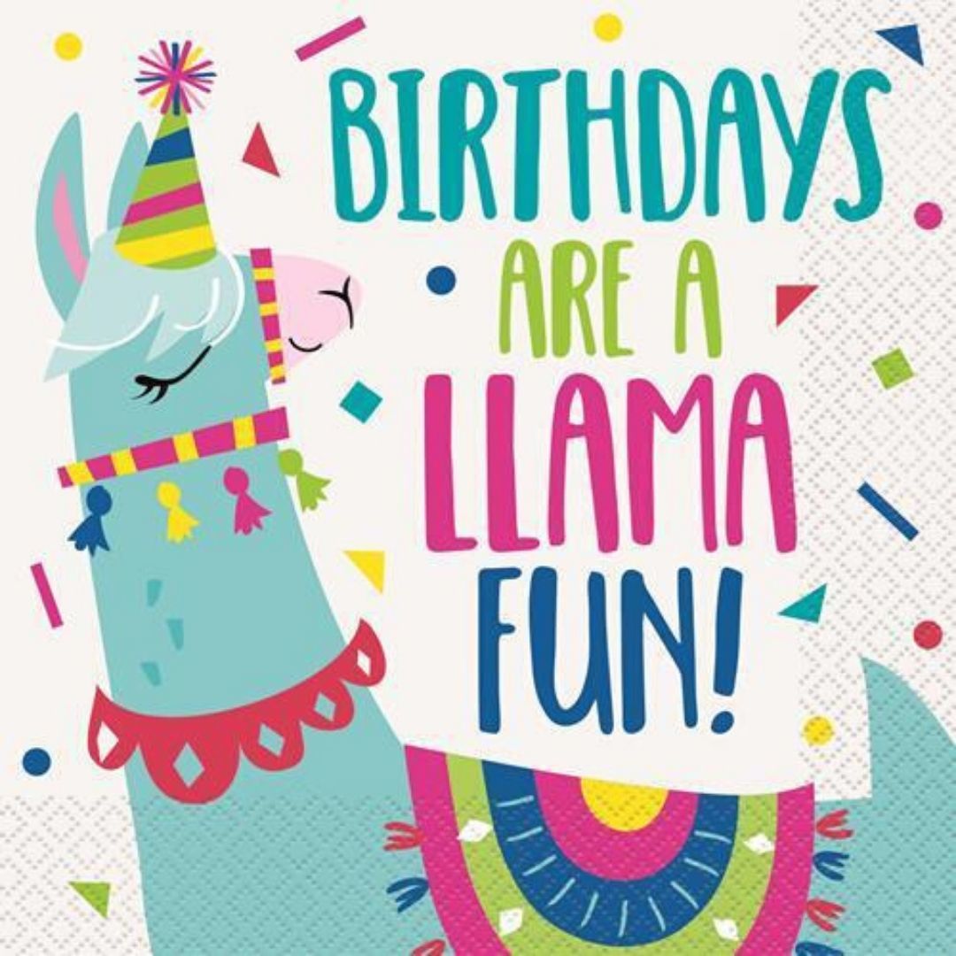 Llama Party Llama Party