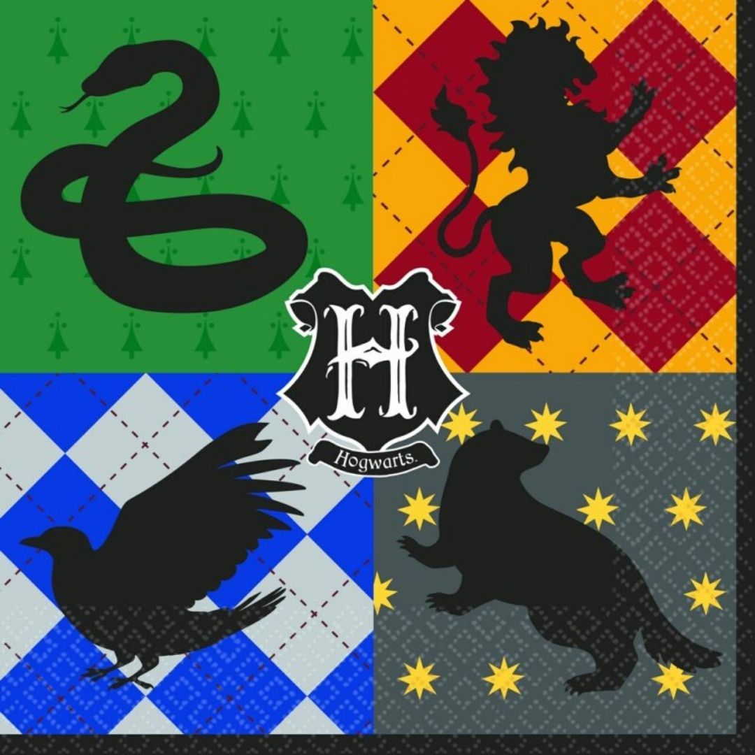 Harry Potter Harry Potter