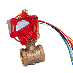 06-504 BUTTERFLY VALVE THREADED 1