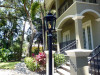 The Cosmopolitan Gas Lamp & Electric Light