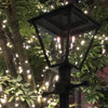 The Old Allegheny Gas Lamp & Electric Light