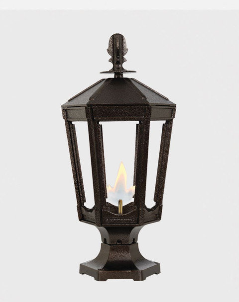 The Vienna Gas Lamp & Electric Light