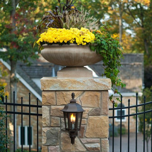 The Bavarian Gas Lamp & Electric Light