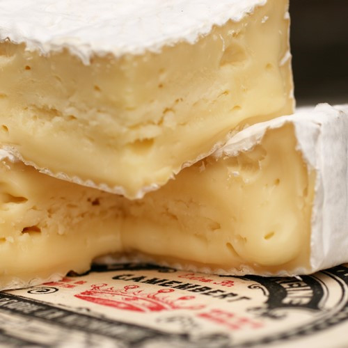 CAMEMBERT LA PETITE REINE