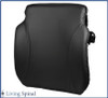 Comfort Embrace Back Support by Comfort Company Product Moldable Backrest Support Living Spinal