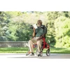 Nitro Neuro Upright Walker Outdoor Use