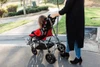 Trotter Mobility Chair Outdoor Using
