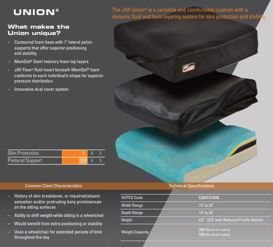 JAY Union Cushion