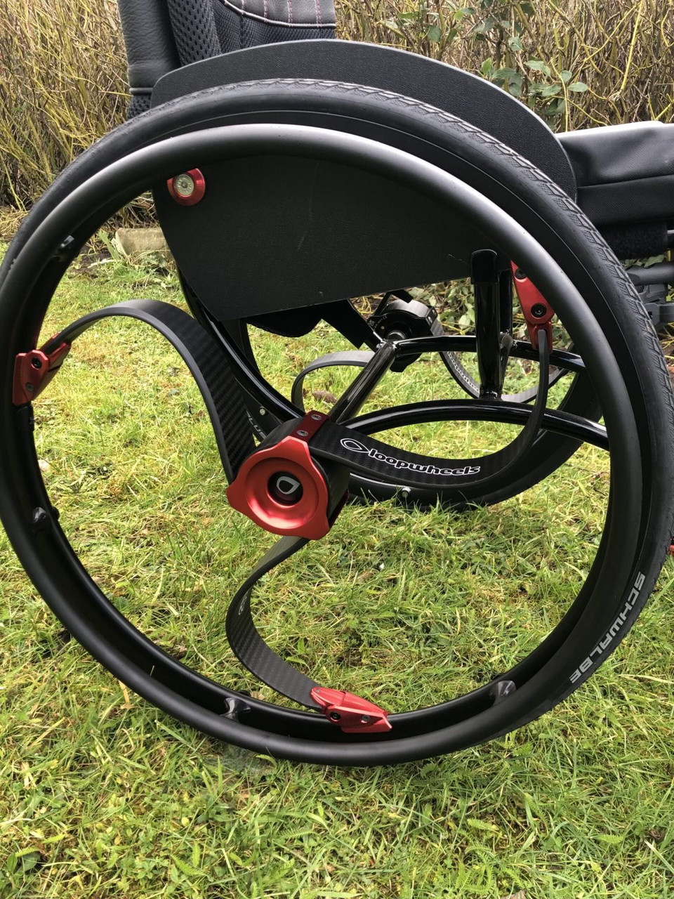 Loopwheels Trial | Living Spinal