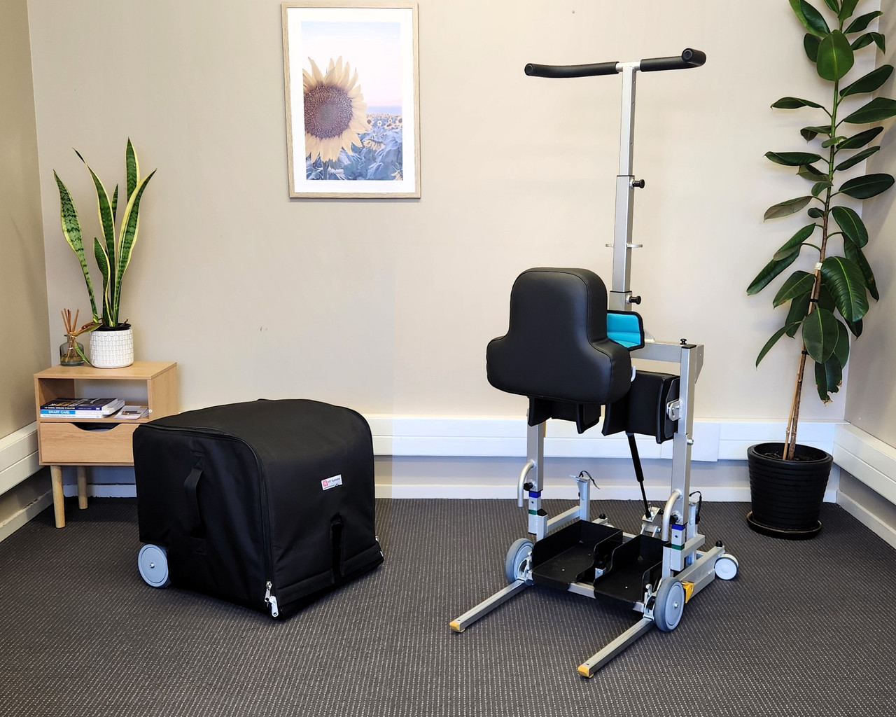 Kera Travel Hoist Both Together