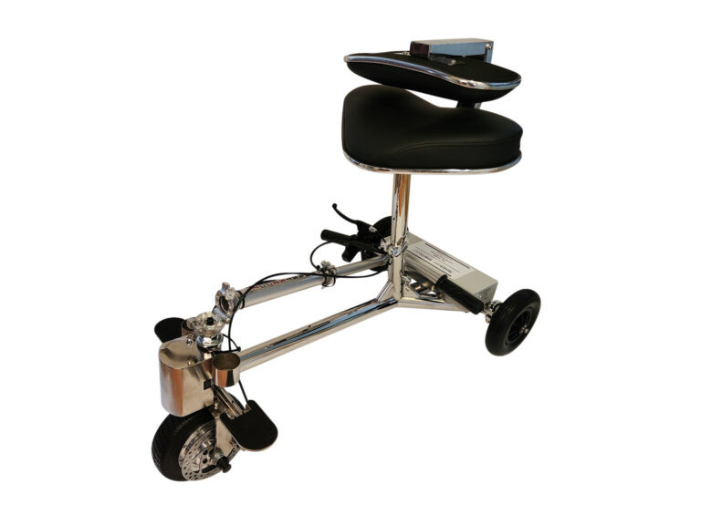 SmartScoot Lightweight Scooter