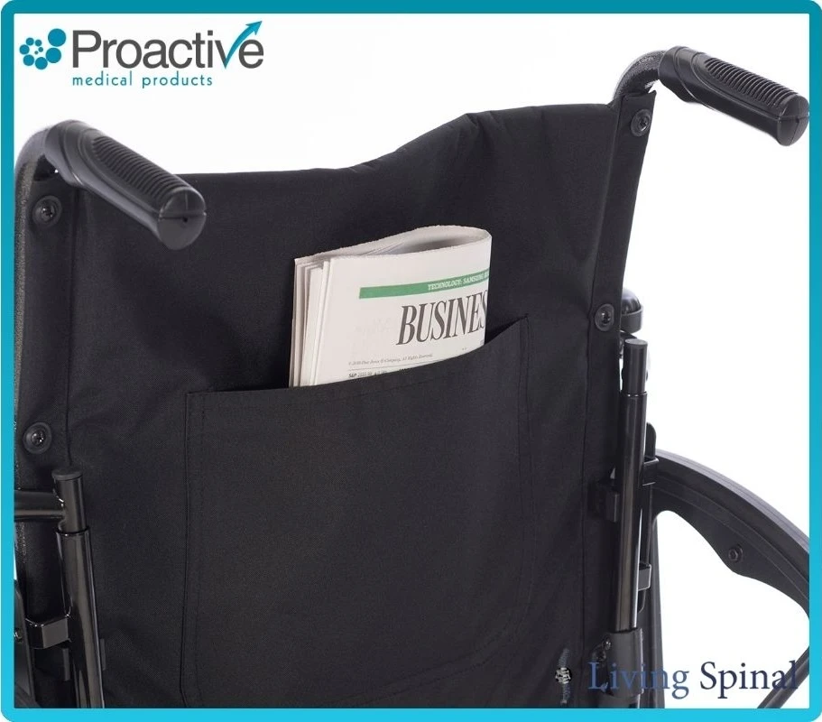 Proactive Chariot IV K4 Product Back View Living Spinal