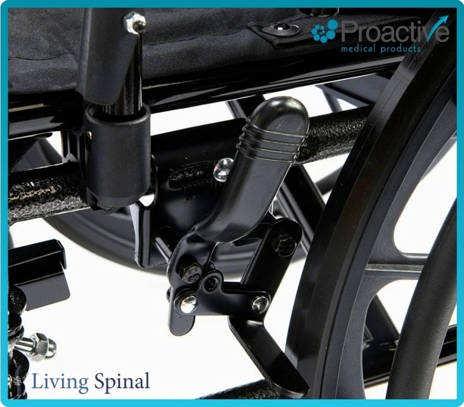 Proactive Chariot IV K4 Brake Lever Living Spinal