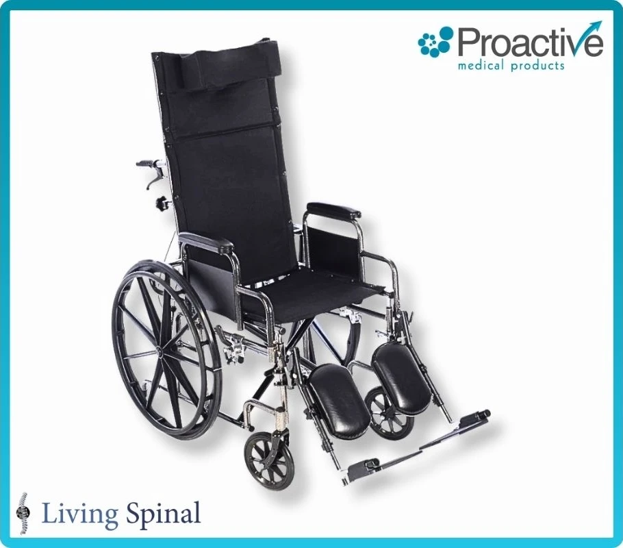 Chariot RC by Proactive Desk Arms with Elevating Legrest Living Spinal