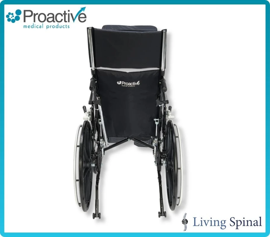 Chariot IV XTC RC by Proactive Product Back View Living Spinal