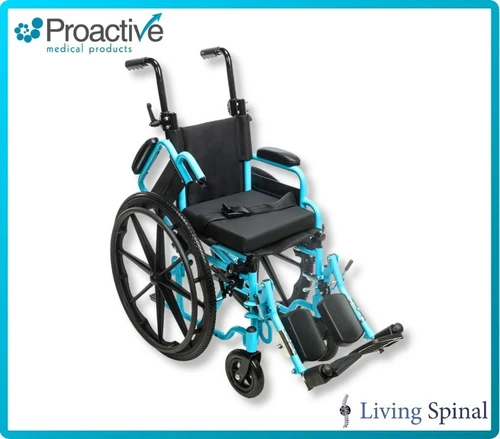 Blaze Pediatric Wheelchair by Proactive Flip Back One Armrest Living Spinal