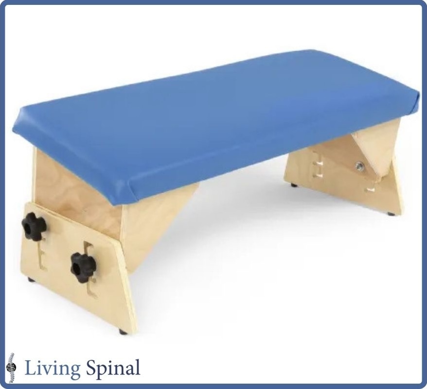 circle-specialty-axis-bench-web-product-in-tilted-comparison-living-spinal.jpg