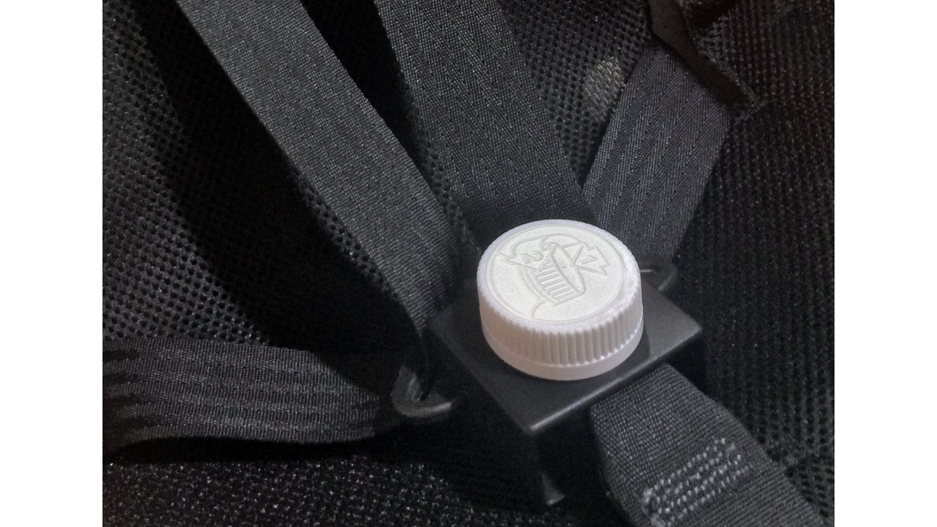 Buckle Guard