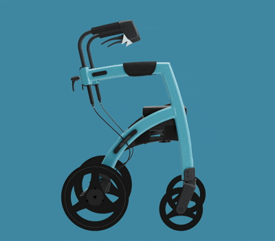 living-spinal-animatie-mare-4.gif