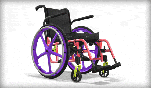 living-spinal-colorviscat5.gif