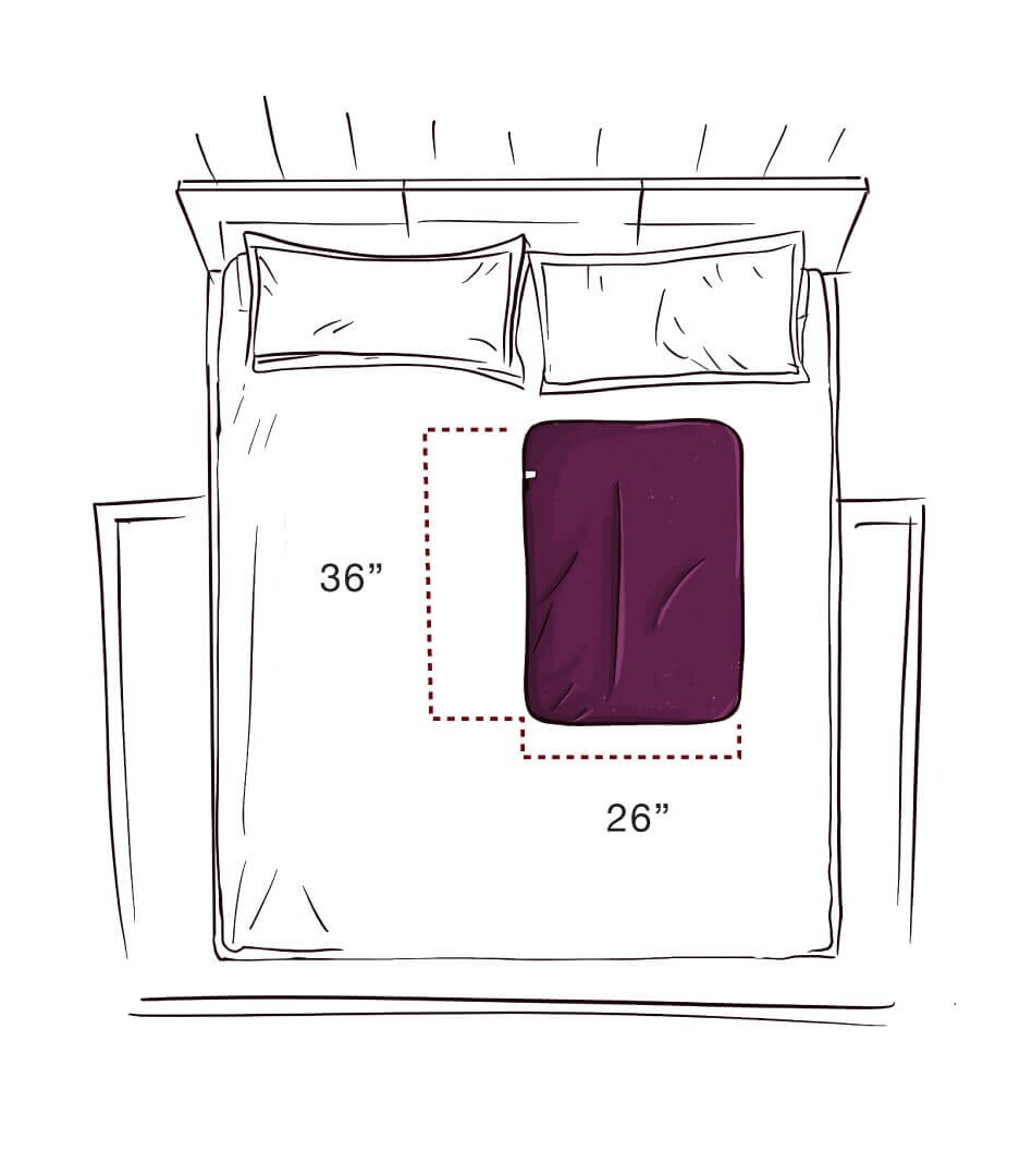 living-spinal-fascinator-mini-enhanced-content-4.jpg living-spinal-fascinator-mini-enhanced-content-4.jpg